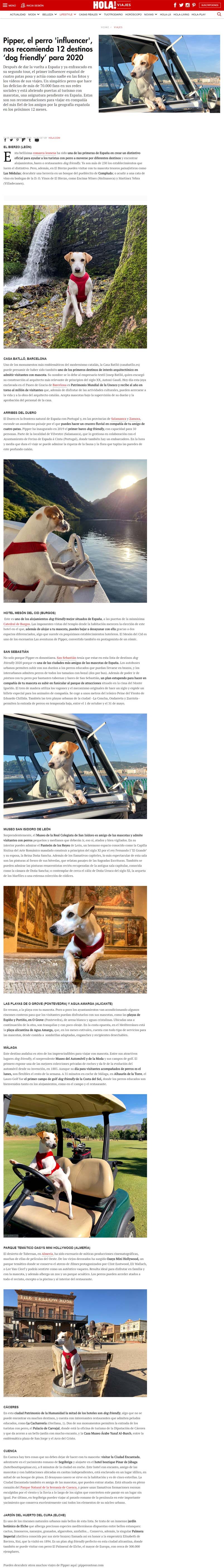 pipper-el-perro-influencer-nos-recomienda-12-destinos